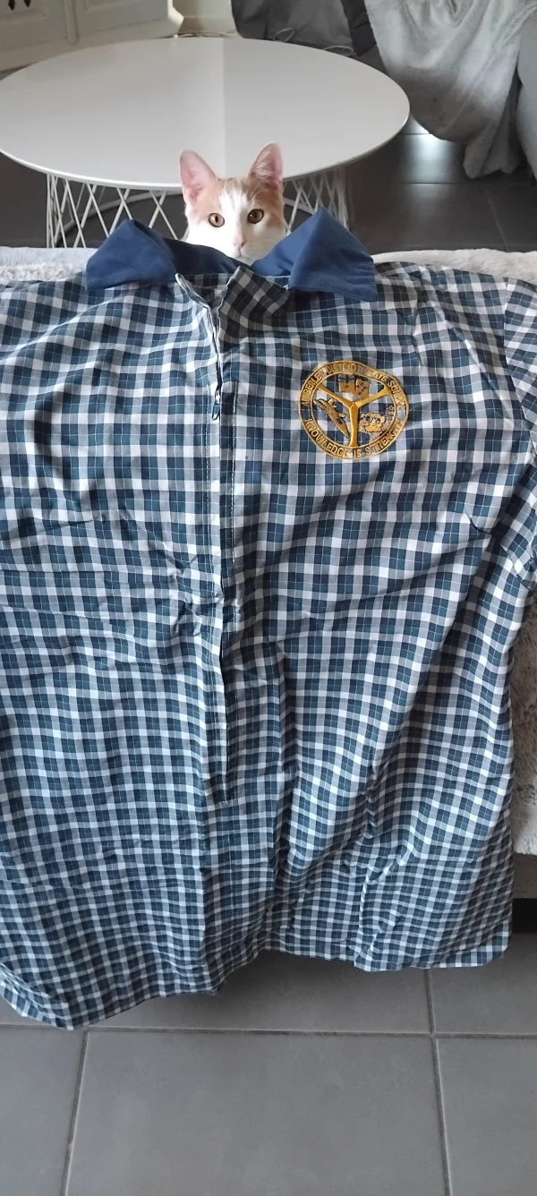 Amberley District State School - Girls School Dress size 14