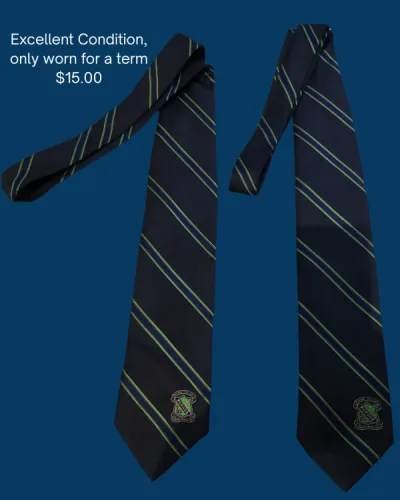 Photo 1 of Like new - Parade tie